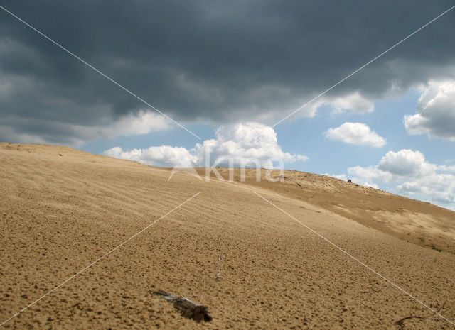 Hoog Buurlose Heide