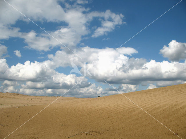 Hoog Buurlose Heide