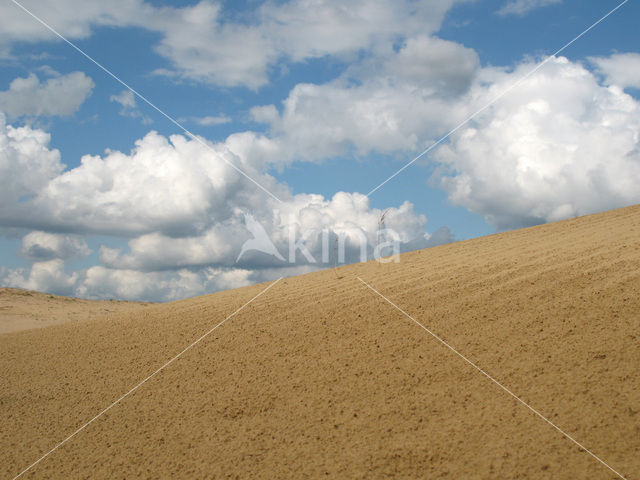 Hoog Buurlose Heide