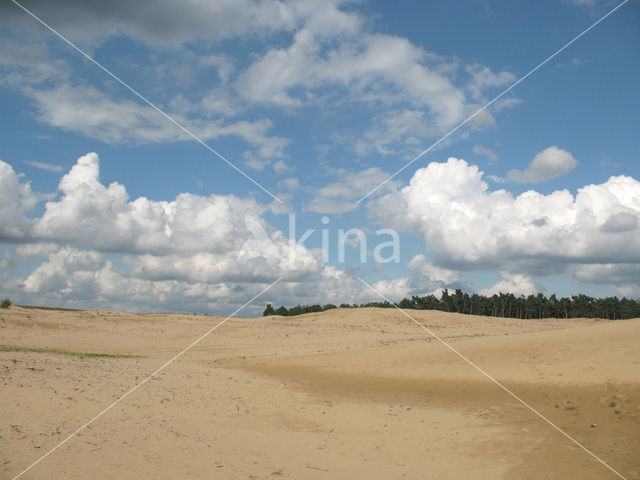 Hoog Buurlose Heide