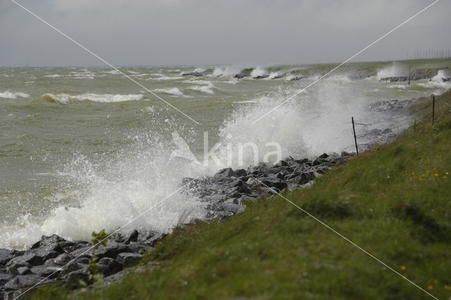 IJsselmeer