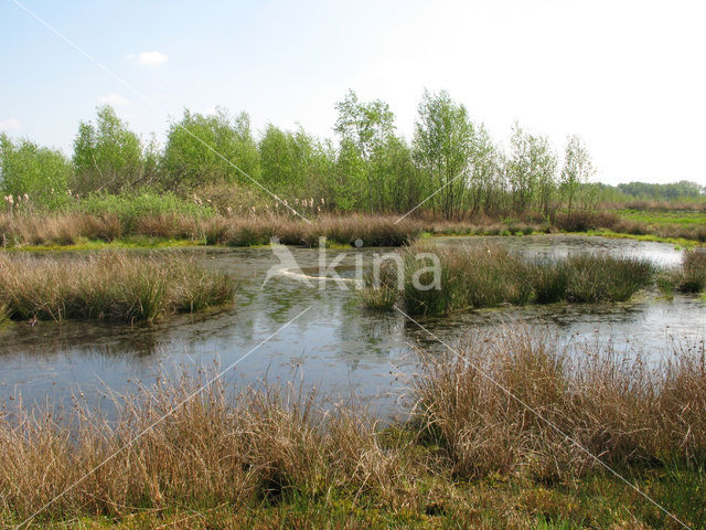 Internationaal Natuurpark Bourtanger Moor-Bargerveen