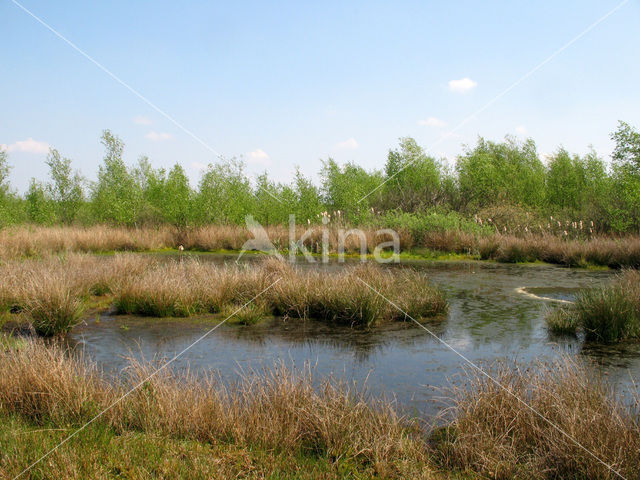 Internationaler Naturpark Bourtanger Moor-Bargerveen