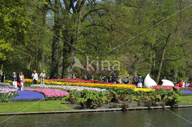 Keukenhof