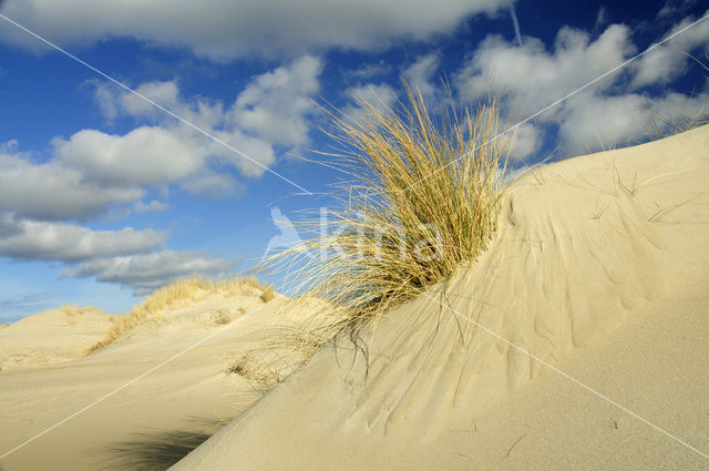 National Park Duinen van Texel