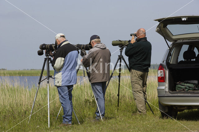 Nationaal Park Lauwersmeer