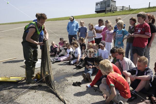 Nationaal Park Lauwersmeer