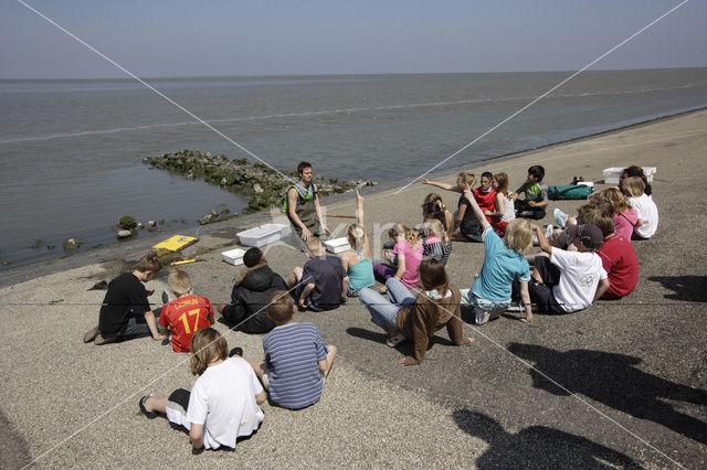 Nationaal Park Lauwersmeer