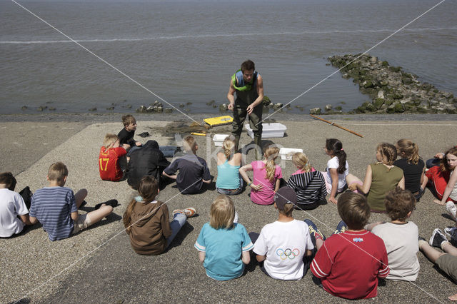 Nationaal Park Lauwersmeer