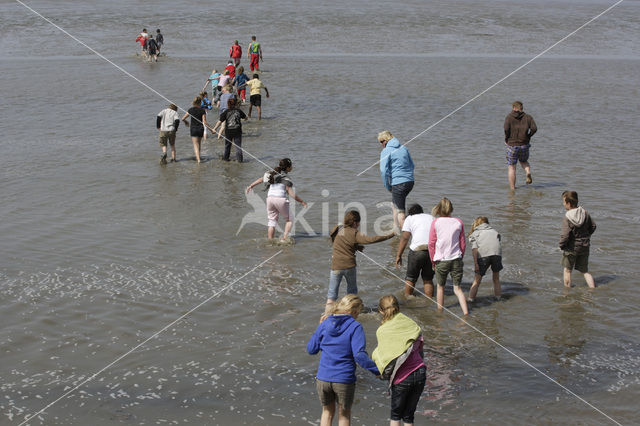 Nationaal Park Lauwersmeer