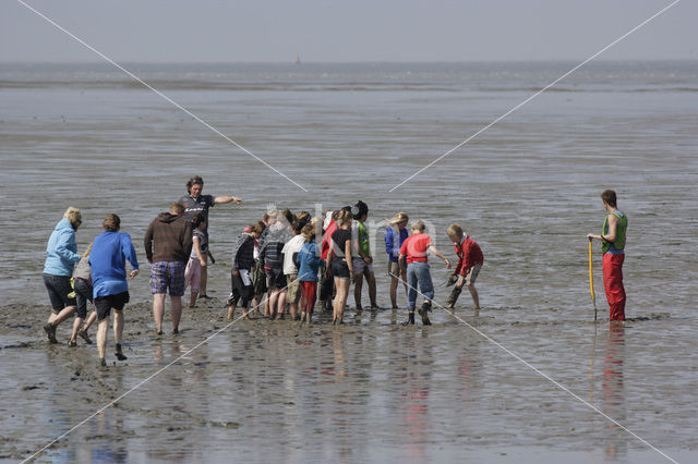 National Park Lauwersmeer