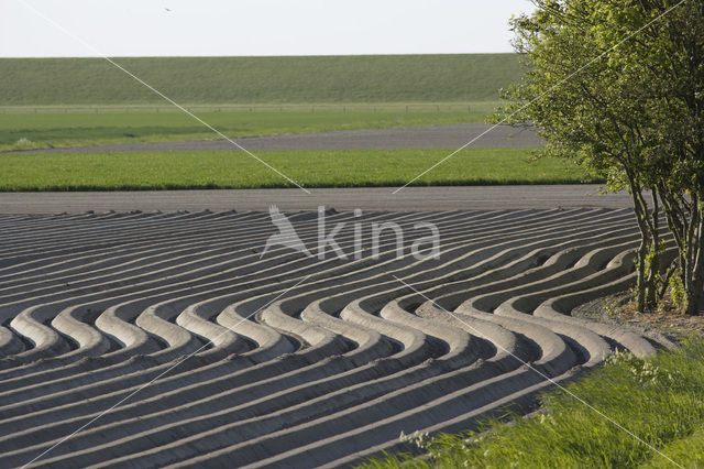 Nieuwe Bildtdijk