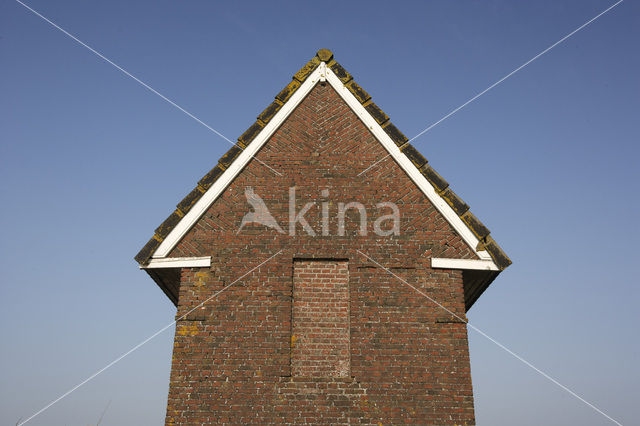 Nijhuizum
