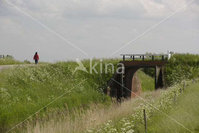 Noordpolder