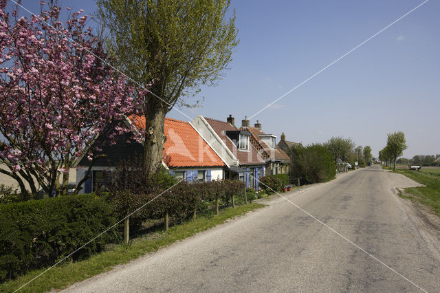 Oude Bildtdijk