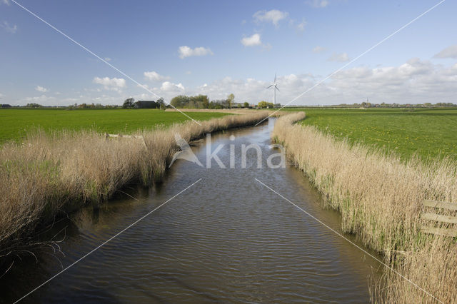 Slachtedijk