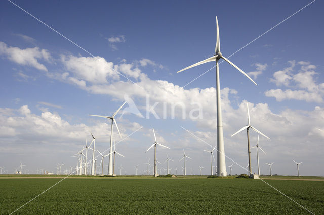 Windfarm