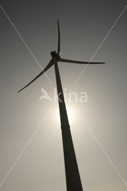 Windfarm