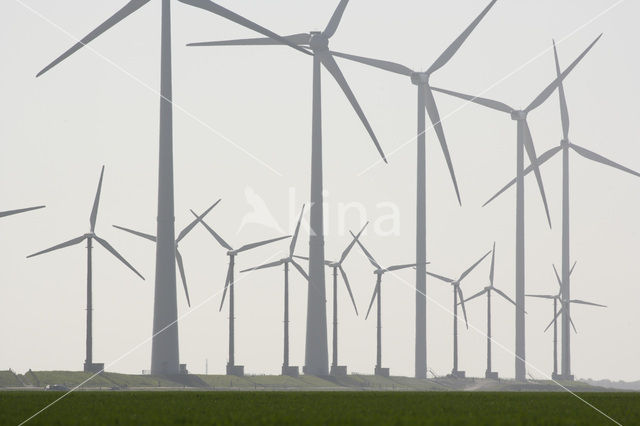 Windfarm