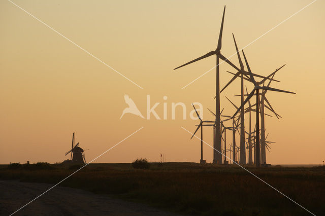 Windfarm