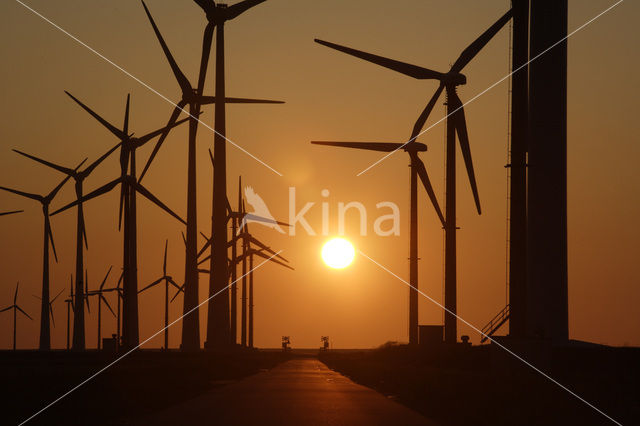 Windfarm