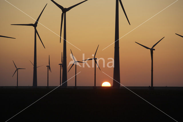 Windfarm