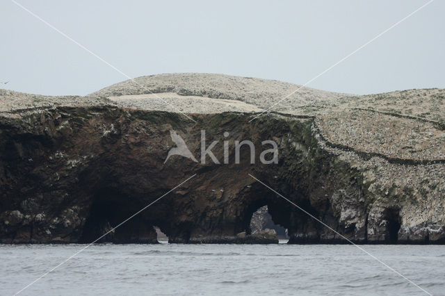 Ballestas eilanden