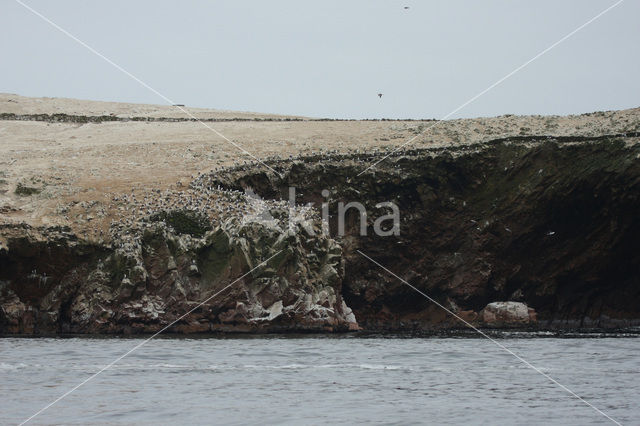 Paracas National park