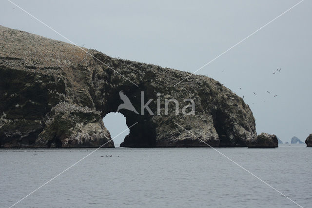 Ballestas eilanden