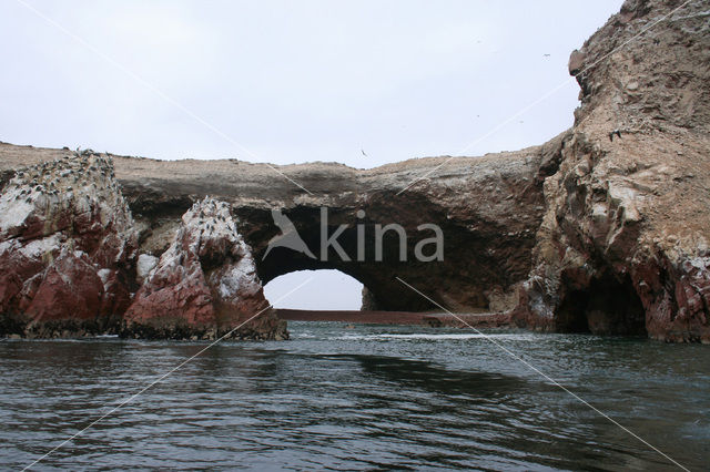 Ballestas eilanden