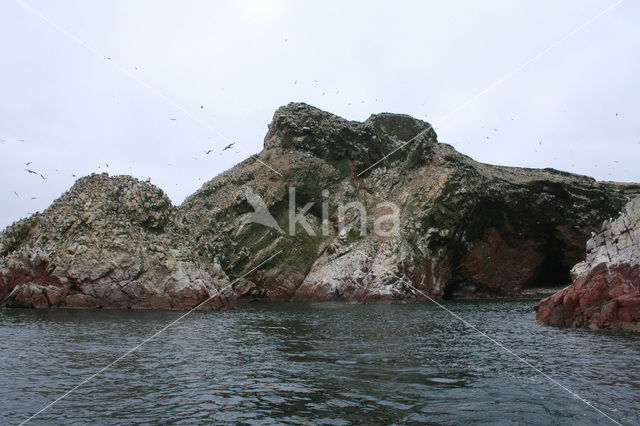 Paracas National park