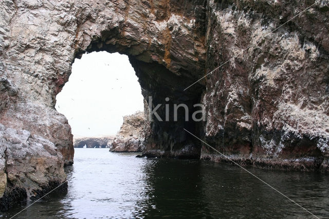 Paracas National park