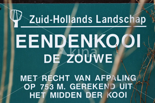 Eendenkooi de Zouwe