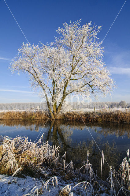 Het Binnenveld