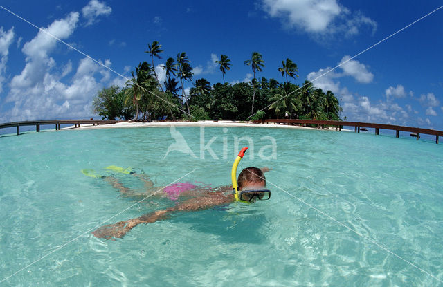 Indian Ocean