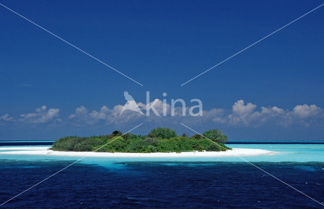 Indian Ocean