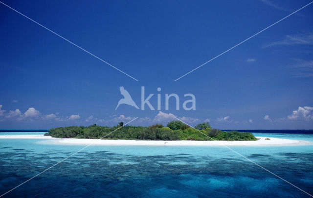 Indian Ocean
