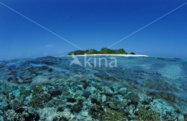 Indische Oceaan