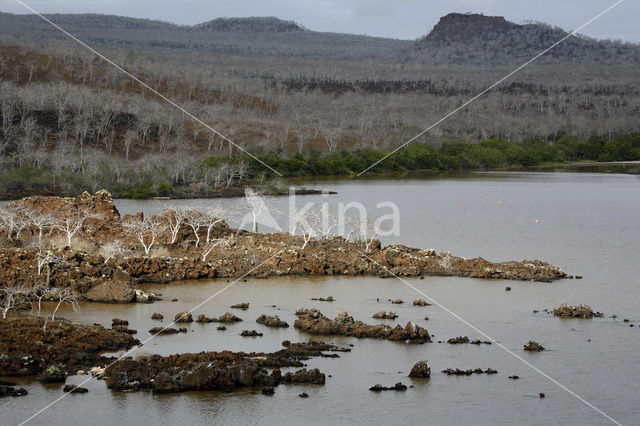 Isla Floreana