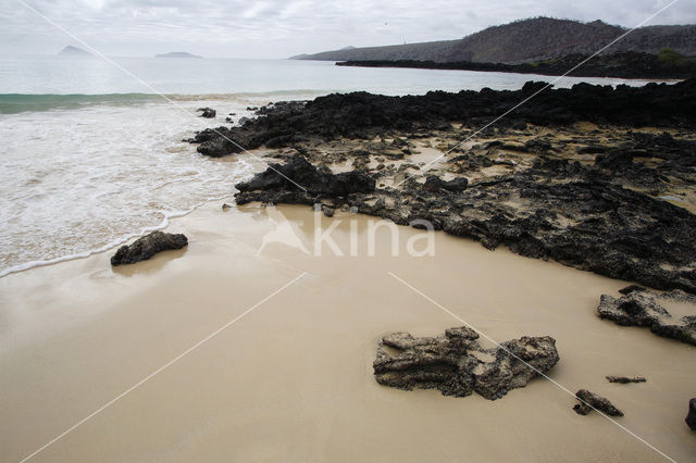 Isla Floreana