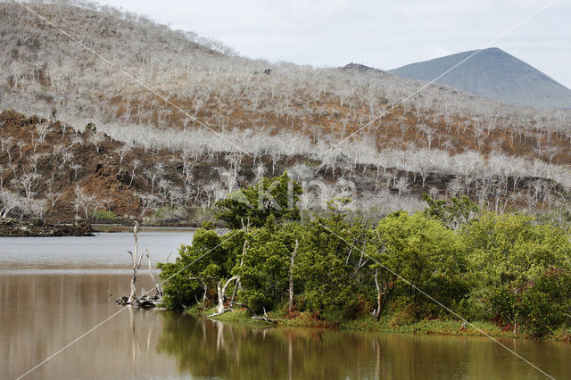 Isla Floreana