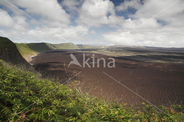 Isla Isabela