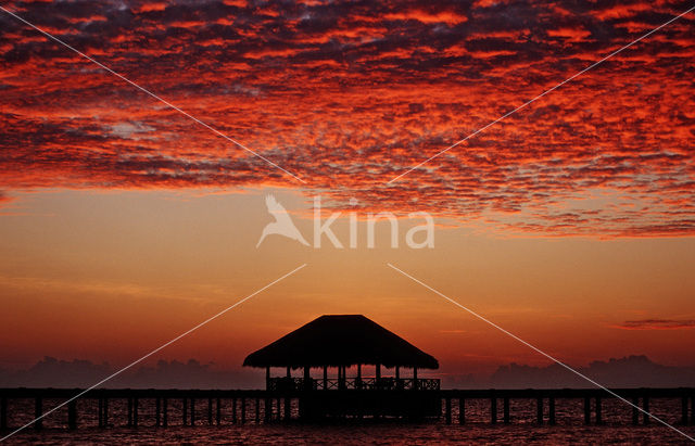 Medhufushi