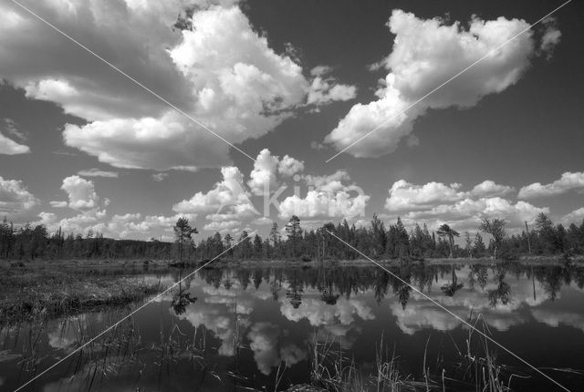 Nationaal Park Fulufjället