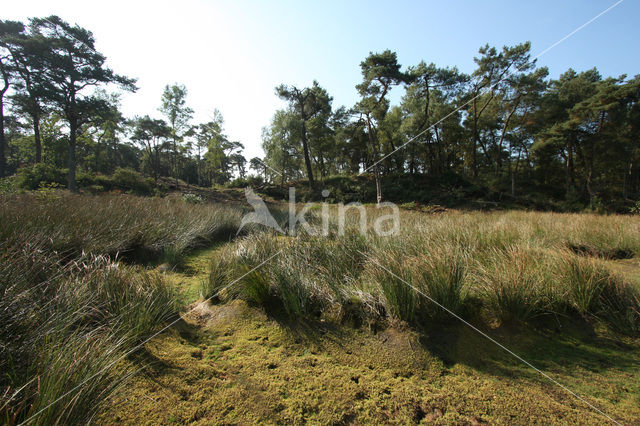 National Park Cross-border park De Zoom