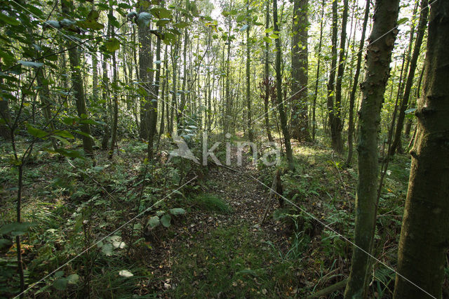 Nationaal Park Grenspark De Zoom