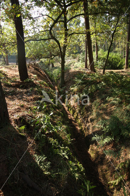 Nationaal Park Grenspark De Zoom