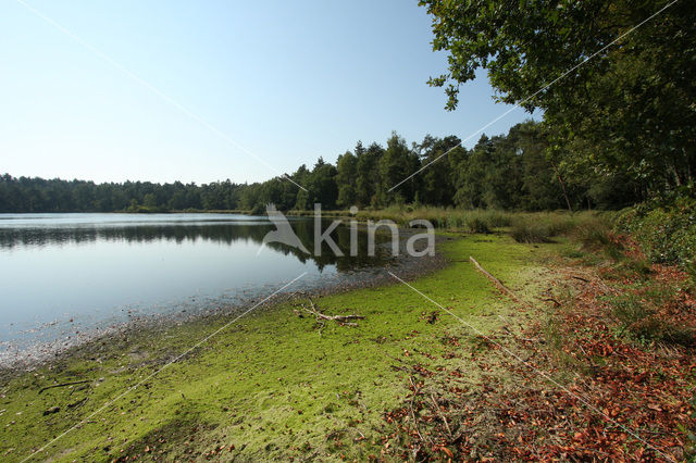 Nationaal Park Grenspark De Zoom