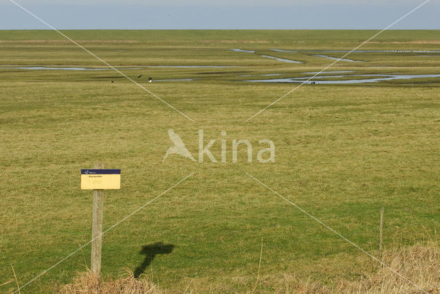 Nationaal Park Lauwersmeer