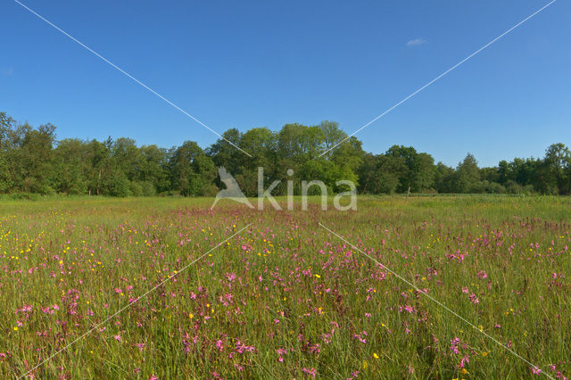 National Park Weerribben-Wieden